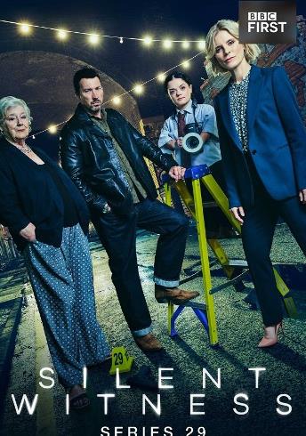 无声的证言第二十九季封面图
