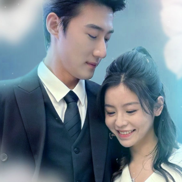 陆总死活不离婚