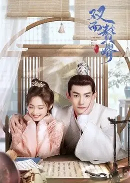 双面赘婿 第2季