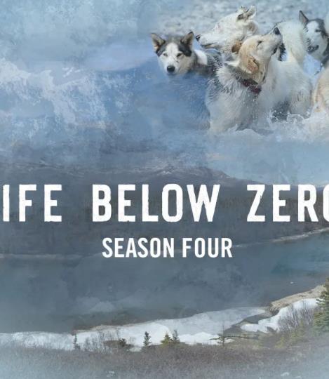 零度以下的生活第4季