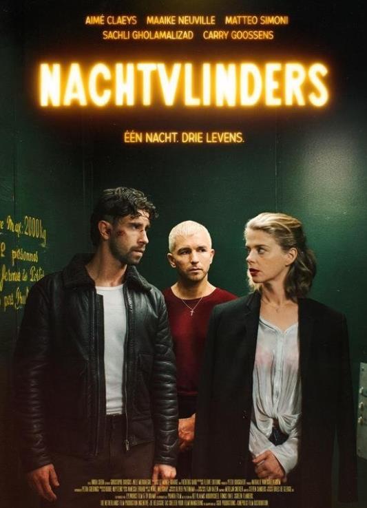 暗夜蝶影封面图