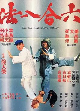 六合八法封面图