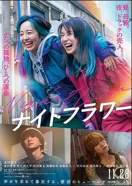 午夜之花封面图