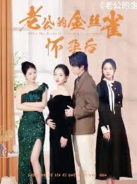 老公的金丝雀怀孕后