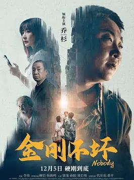 金刚不坏2024封面图