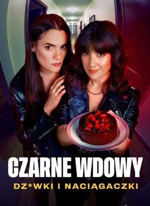 黑寡妇风月陷阱 第1季