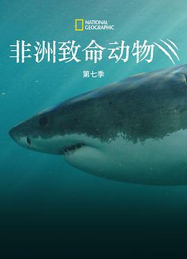 非洲致命动物第7季