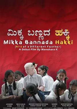 异羽之鸟封面图