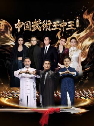 中国武术王中王第2季封面图