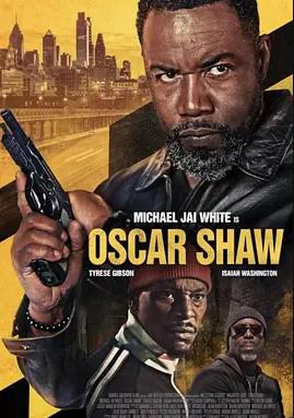 孤警追凶封面图