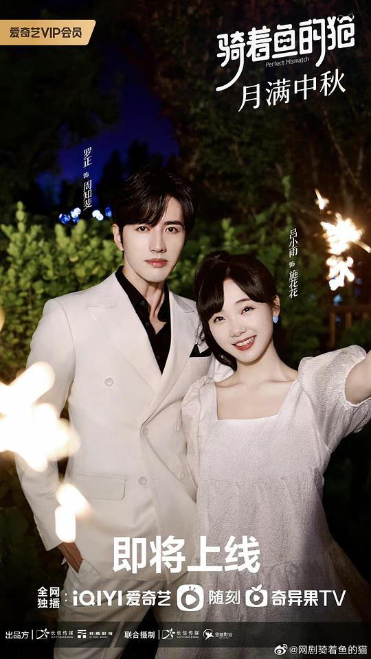 骑着鱼的猫封面图