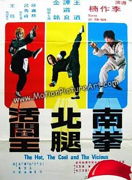 南拳北腿活阎王封面图