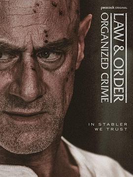 法律与秩序：组织犯罪 第5季