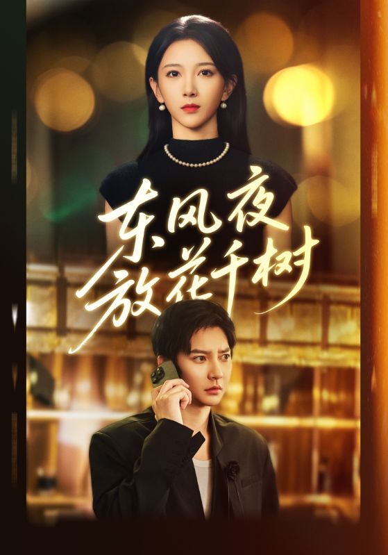 东风夜放花千树封面图