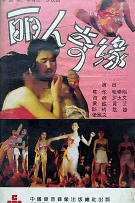 丽人奇缘封面图