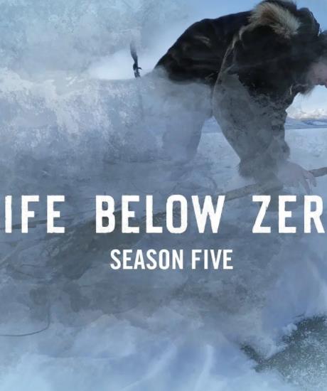 零度以下的生活第5季