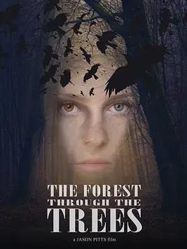 林渊寻咒封面图