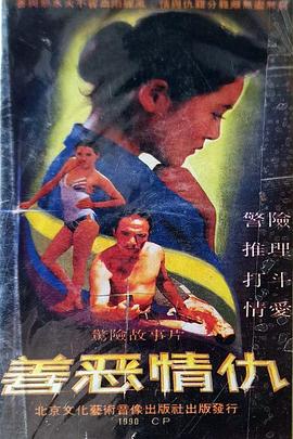善恶情仇封面图