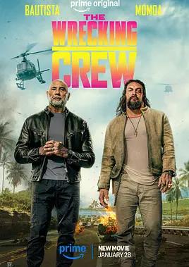 特工迷阵封面图