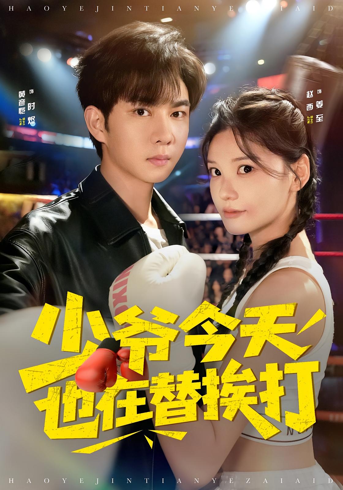 少爷今天也在替挨打封面图