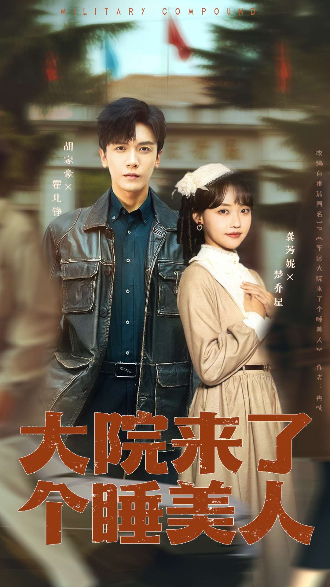 大院来了个睡美人100集版封面图