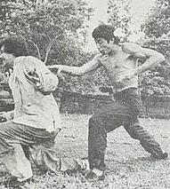 铁指唐手封面图