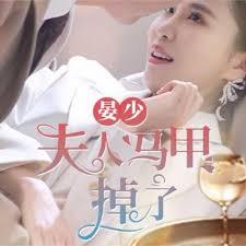 晏少夫人马甲掉了