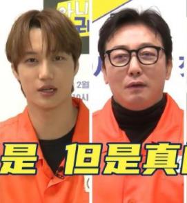 不是但是真的封面图