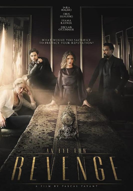 说谎的艺术封面图