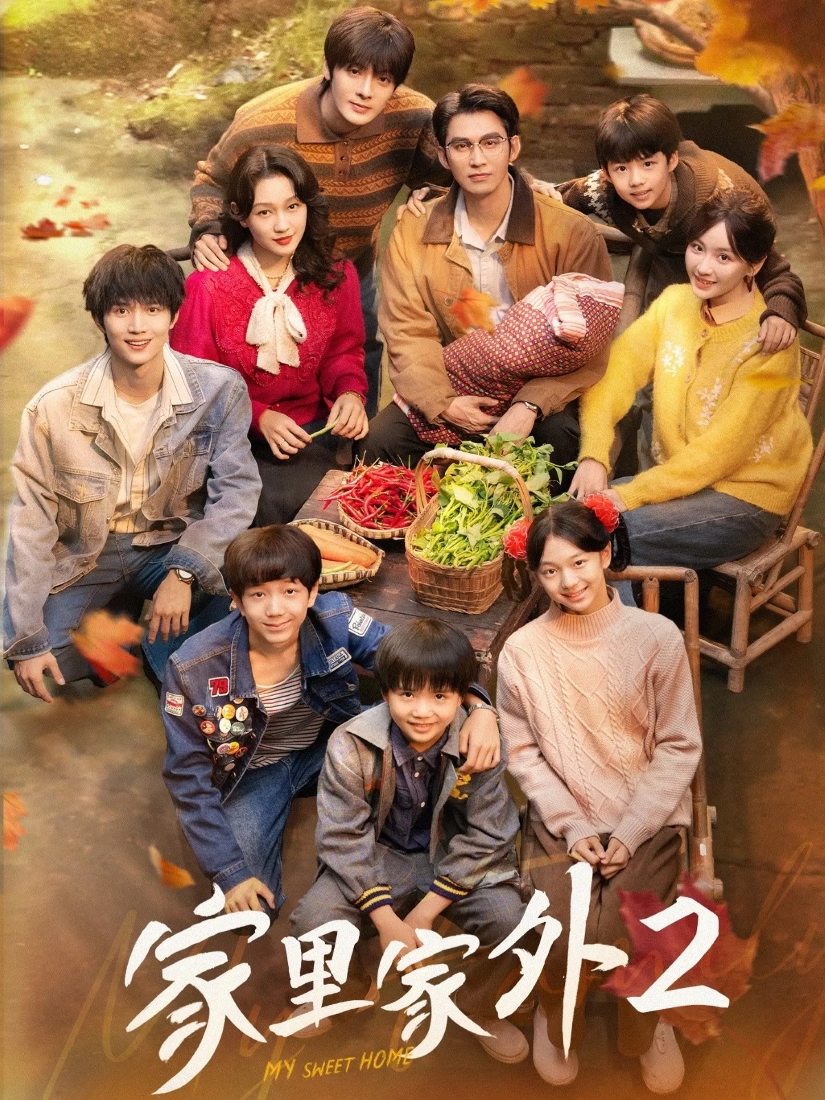 家里家外第2季封面图