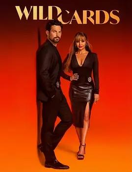 百变王牌第3季封面图