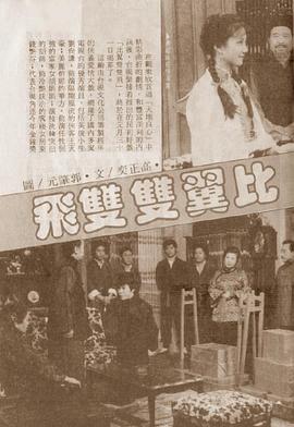 比翼双双飞封面图