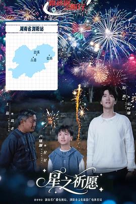 星之祈愿封面图