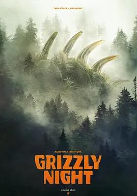 巨熊之夜封面图